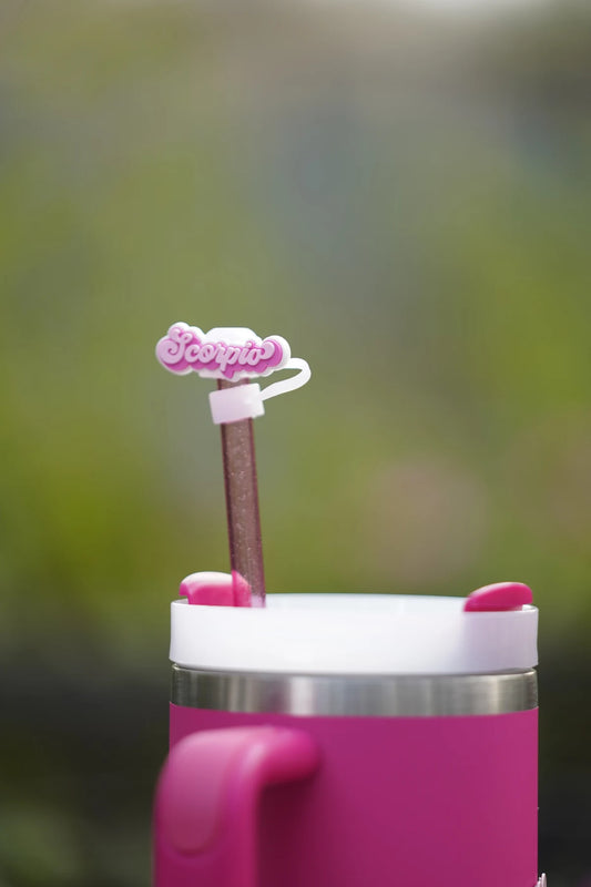 Scorpio Zodiac Straw Charm