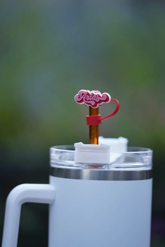 Aries Zodiac Straw Charm