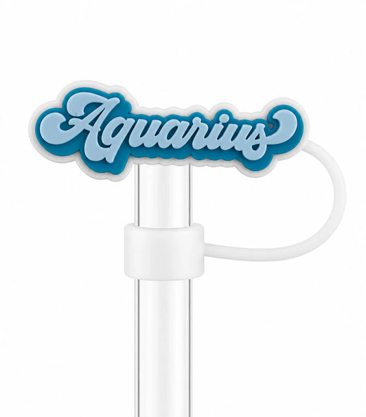 Aquarius Zodiac Straw Charm