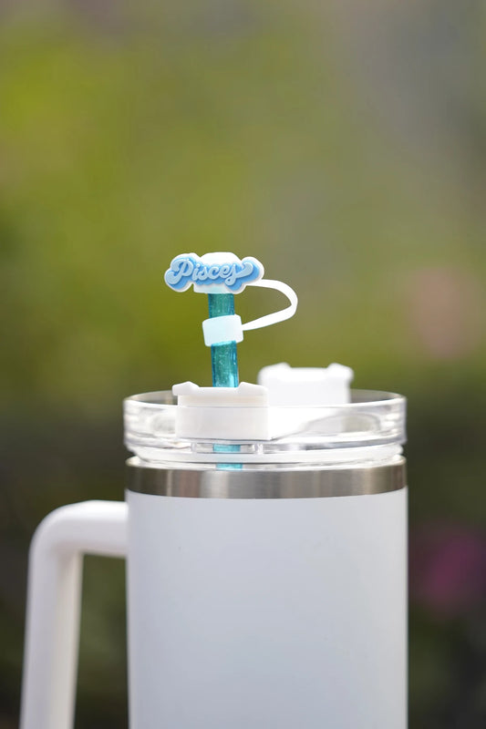 Pisces Zodiac Straw Charm