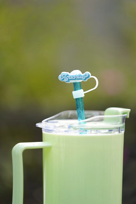 Aquarius Zodiac Straw Charm