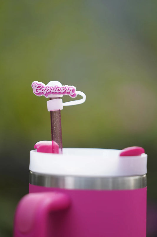 Capricorn Zodiac Straw Charm