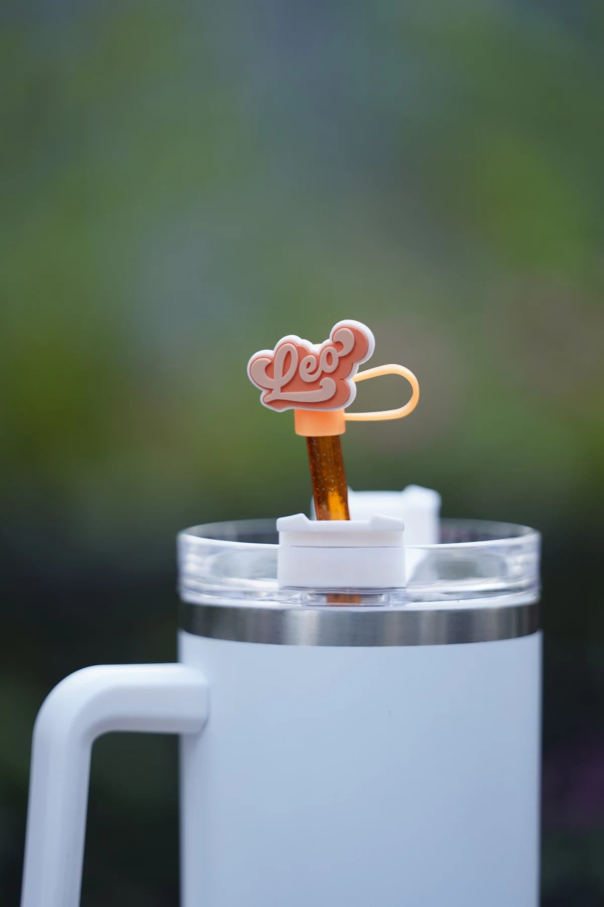 Leo Zodiac Straw Charm