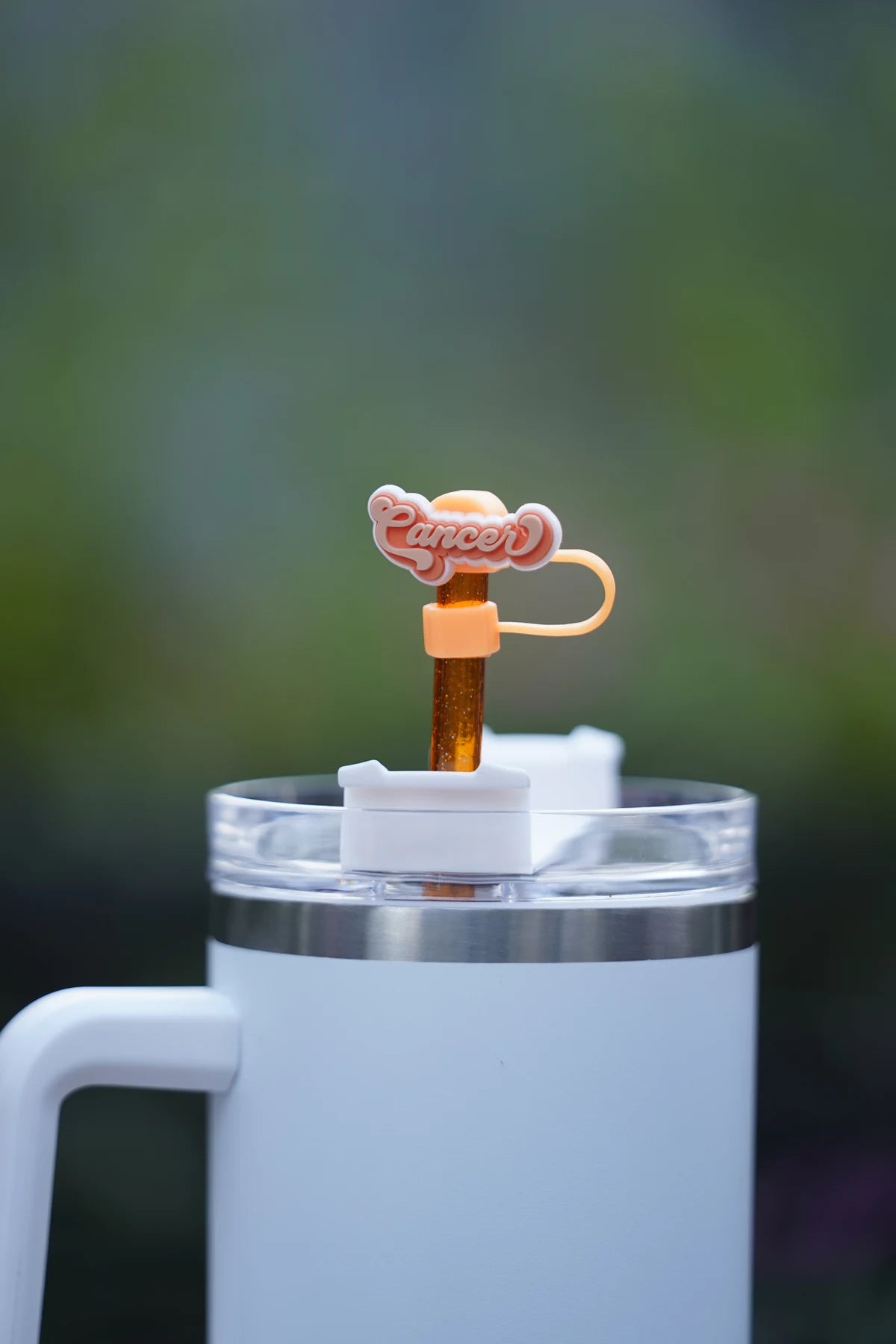 Cancer Zodiac Straw Charm