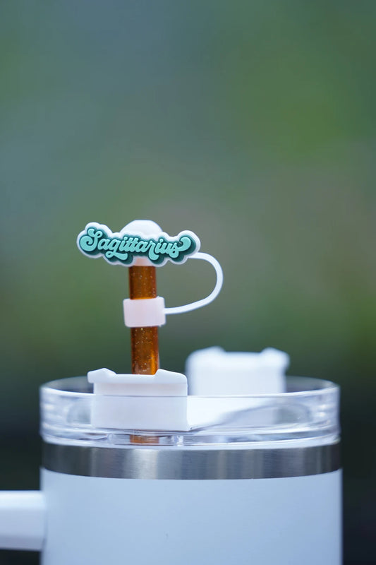 Sagittarius Zodiac Straw Charm