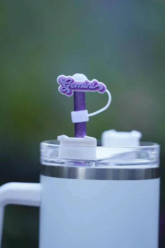 Gemini Zodiac Straw Charm