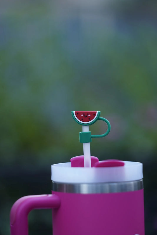 Smiley Watermelon Straw Charm