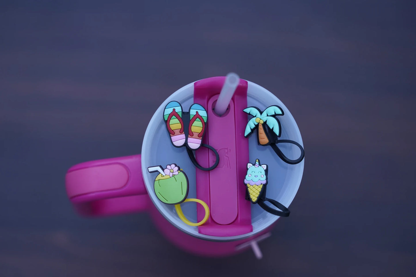 Tropical Daydream Straw Charm Collection