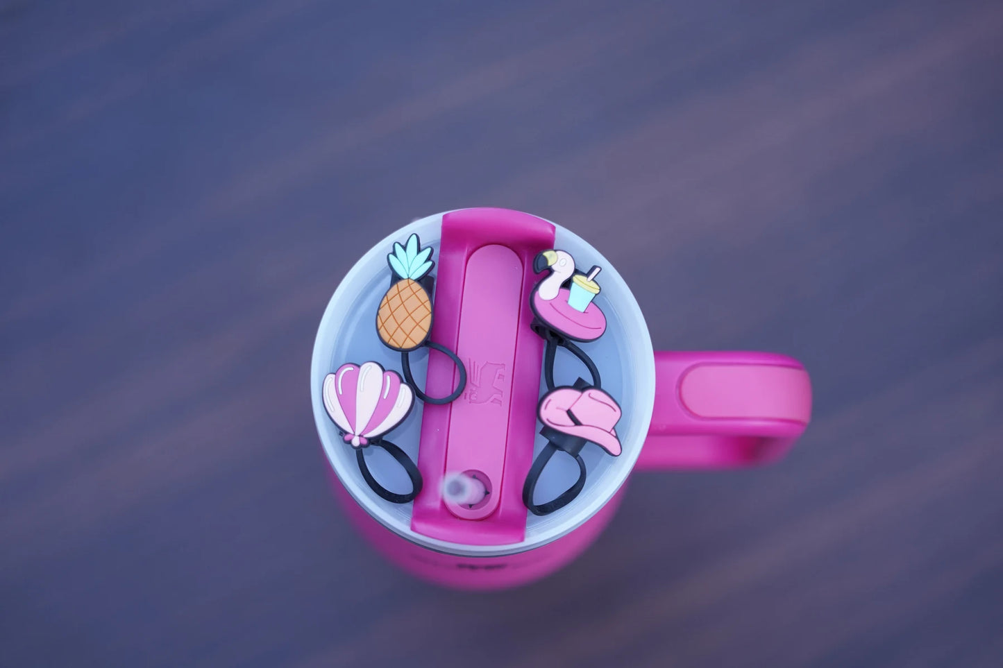 Poolside Fun Straw Charm Collection