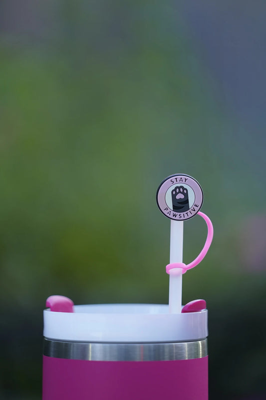 Stay Pawsitive Straw Charm