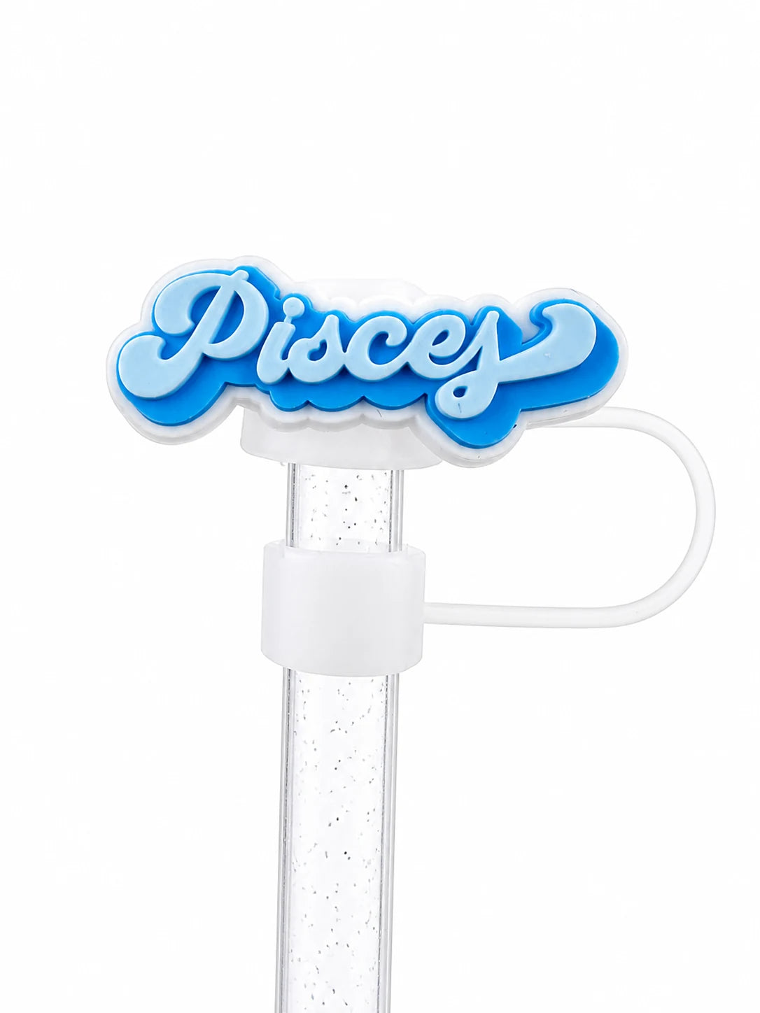 Pisces Zodiac Straw Charm
